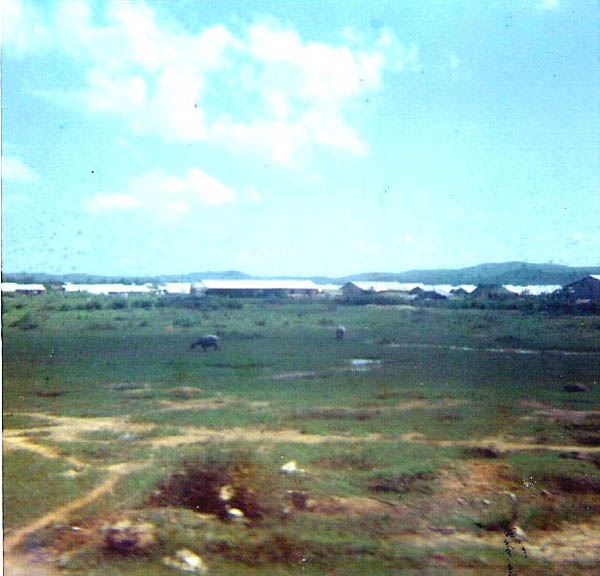 1969_00_Cam_Lo_Water_Buffalo_RGreene22