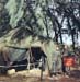 1967_10_Kaneohe_RGreene03
