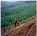 1968_09_LZ_Stud_RGreene02