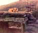 1970_00_Vince_Amos_vn5
