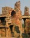 India_Golden_05