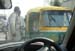 India_Golden_07