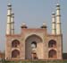 India_Golden_11
