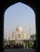 India_Golden_13