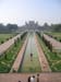 India_Golden_26