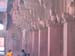 India_Golden_37