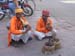 India_Golden_54
