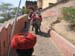 India_Golden_66
