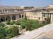 India_Golden_78