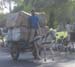 India_Golden_89