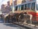 India_Golden_92