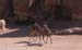 Petra_17