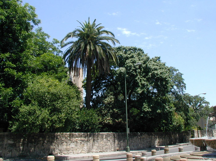 2006_Reunion_034