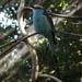 200805_Reunion_72