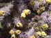 201005_2_Sedona_039