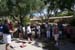 201005_4_Taliesin_088