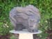201005_4_Taliesin_100