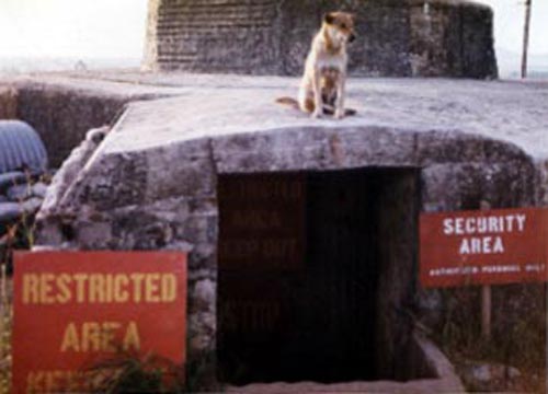 1970_12_Lundberg_Blondie Guarding the Bunker