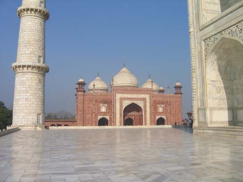 India_Golden_23