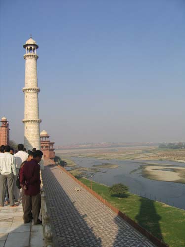 India_Golden_24