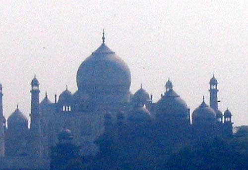India_Golden_36