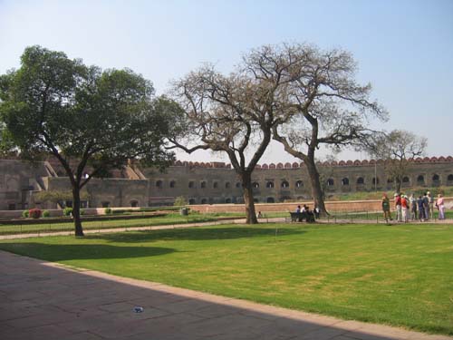 India_Golden_38