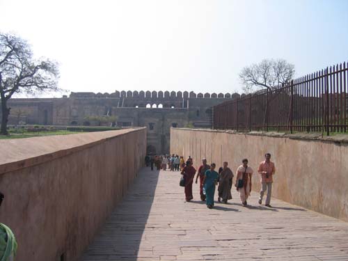 India_Golden_40