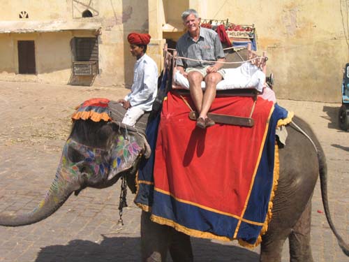 India_Golden_65