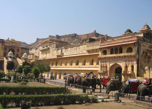 India_Golden_67