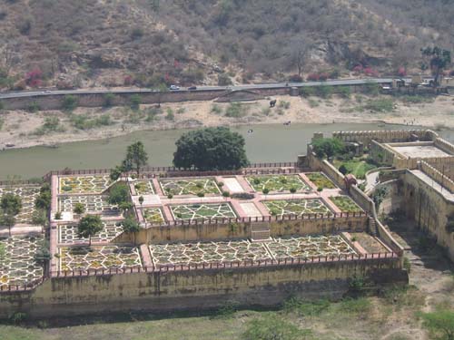 India_Golden_69