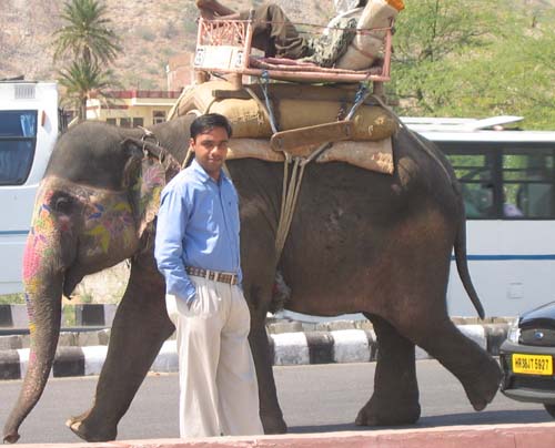 India_Golden_86