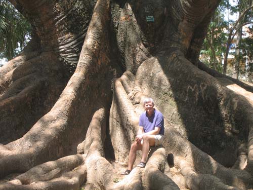 India_South_34