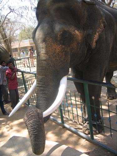 India_South_43