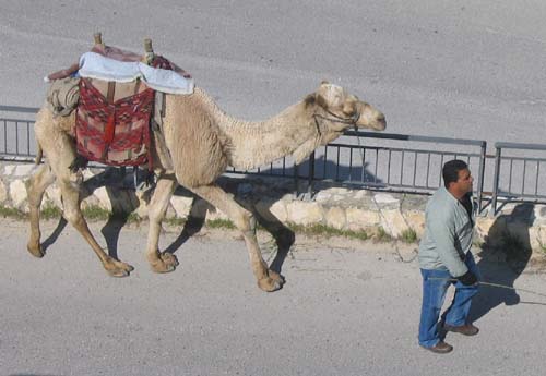 Israel_14