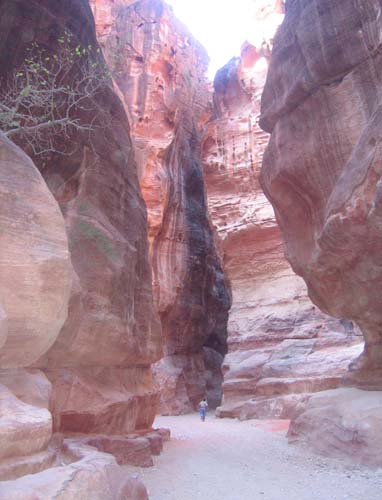 Petra_06