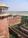 India_Golden_34