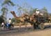 India_Golden_47