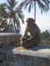 India_South_12