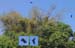 India_South_21
