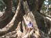 India_South_34
