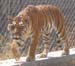India_South_39