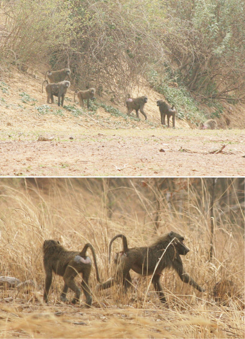 200604_Benin_024