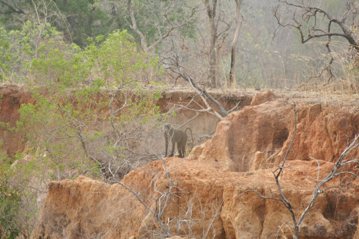 200604_Benin_025