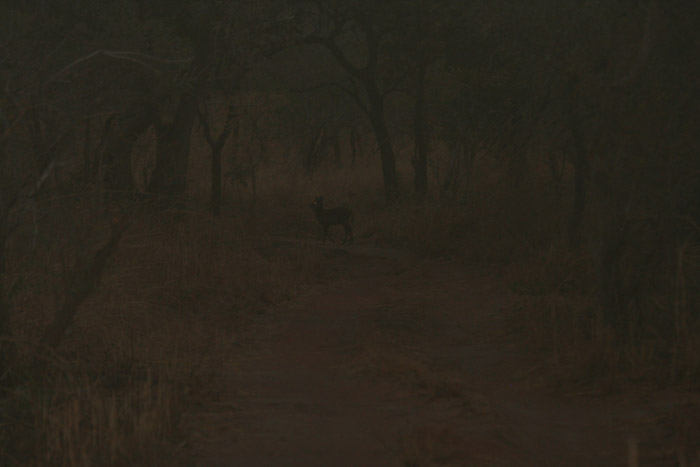 200604_Benin_033