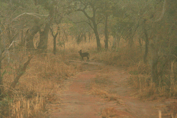 200604_Benin_034