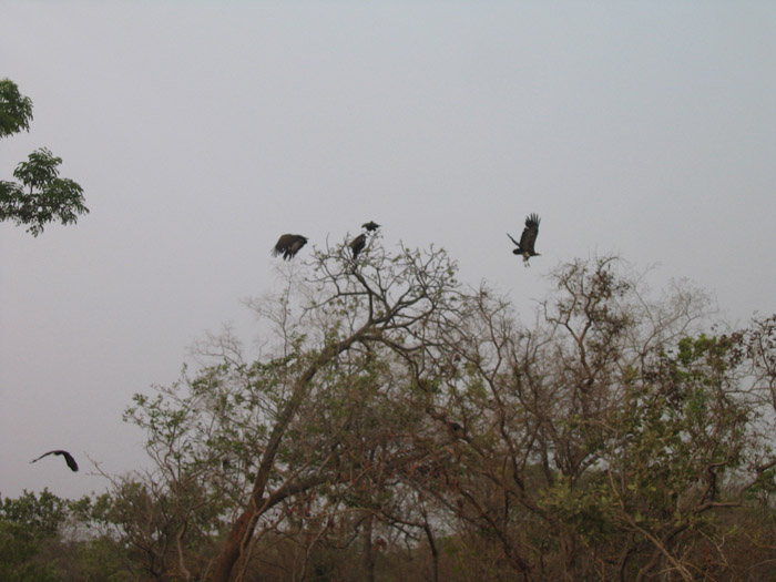 200604_Benin_037