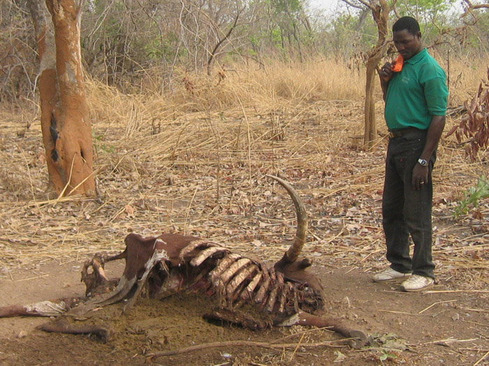 200604_Benin_039