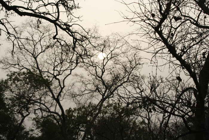 200604_Benin_055