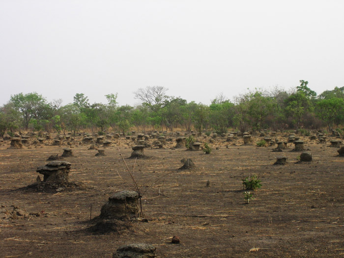 200604_Benin_060