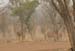 200604_Benin_010